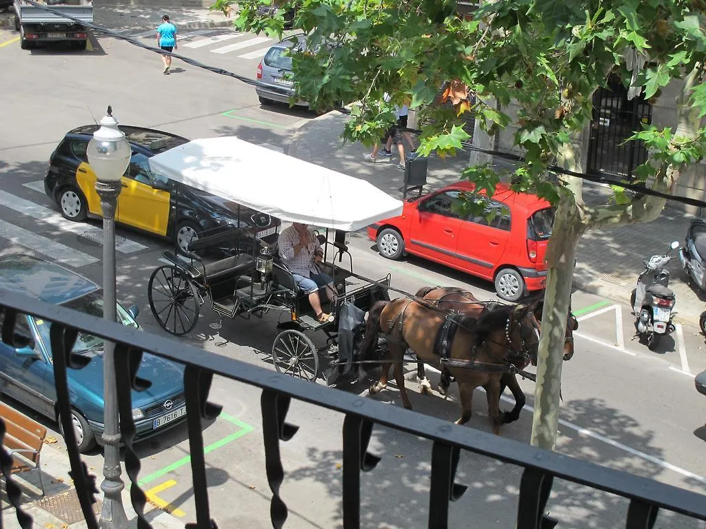 Zoo Loco Guest House Barcelona 0*,