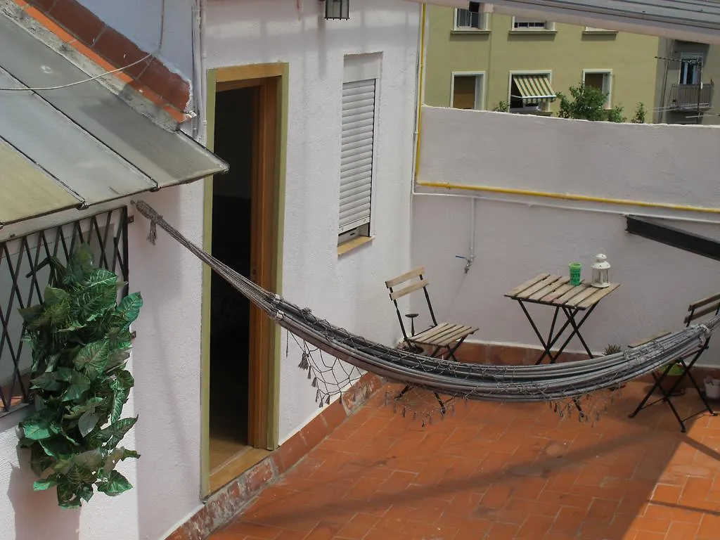 Zoo Loco Guest House Barcelona
