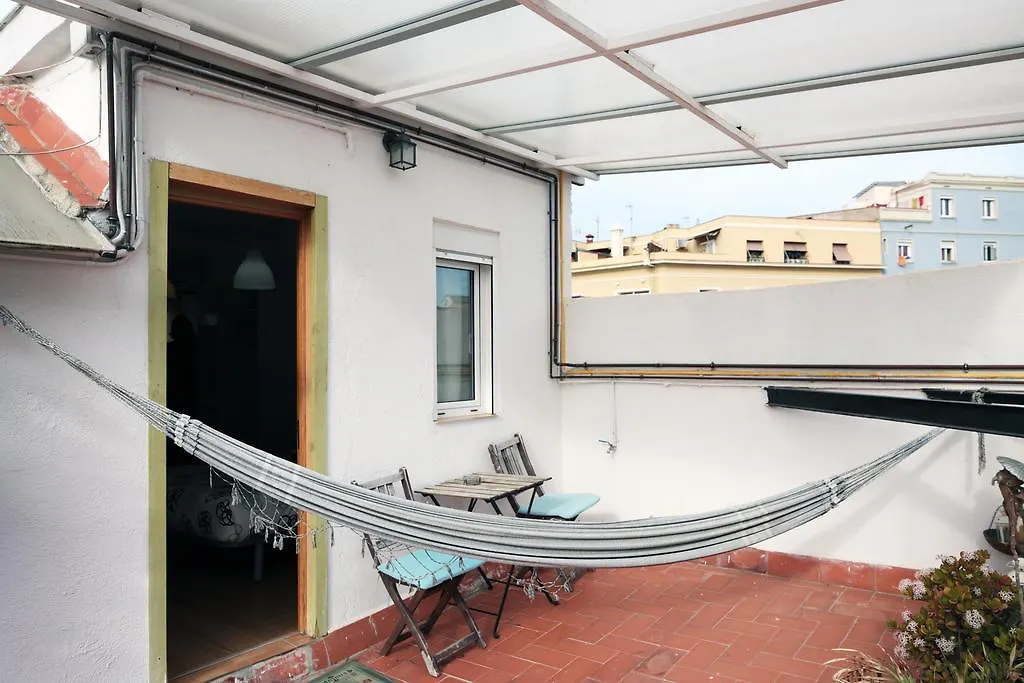 Zoo Loco Guest House Barcelona