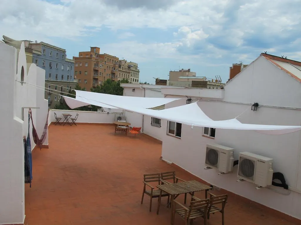Zoo Loco Guest House Barcelona